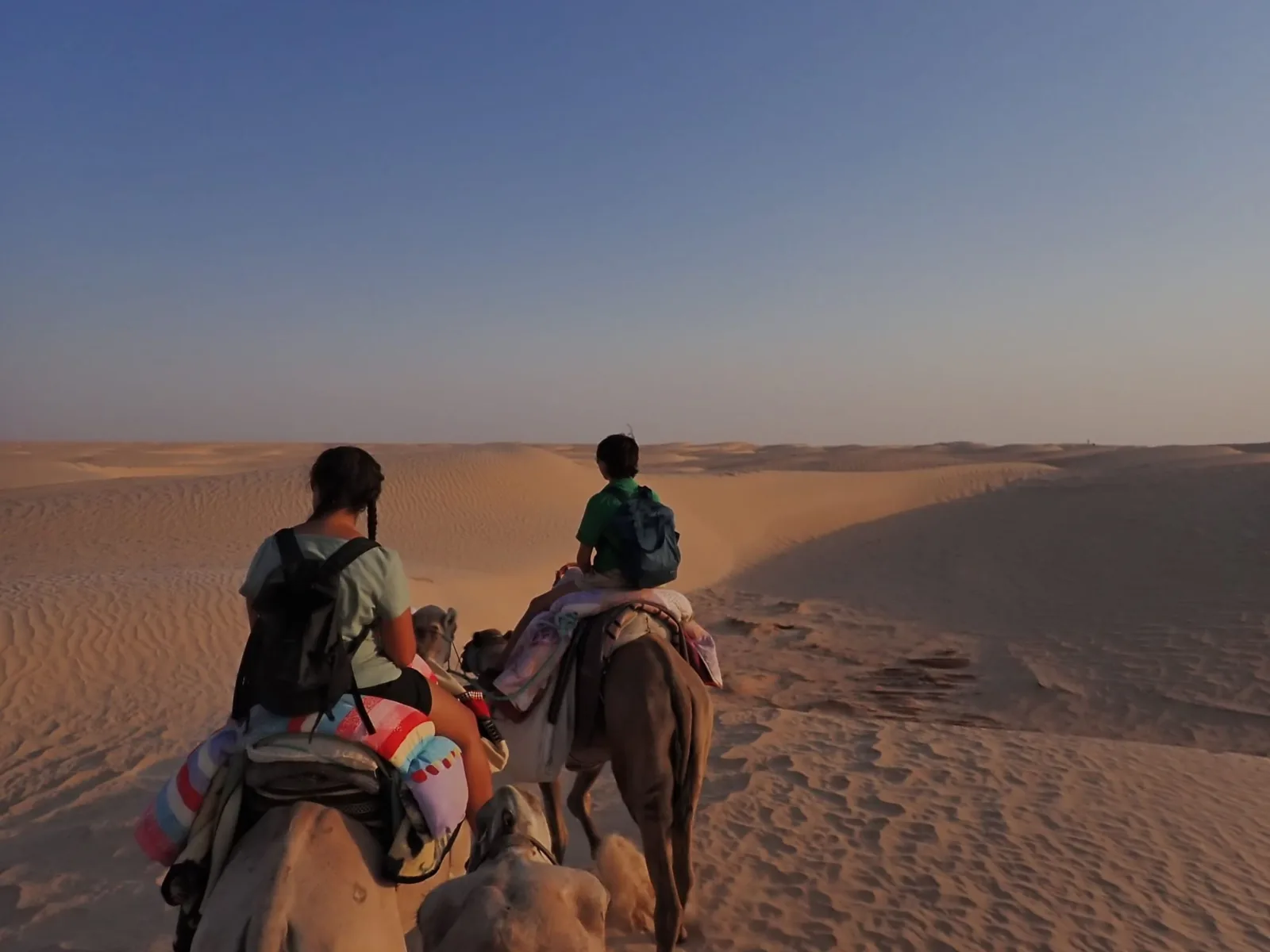 Multi-day camel trekking expedition with bivouac in the Tunisian Sahara