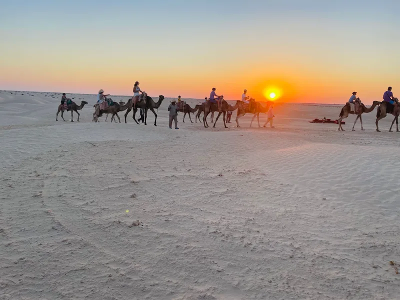 Ksar Ghilane oasis