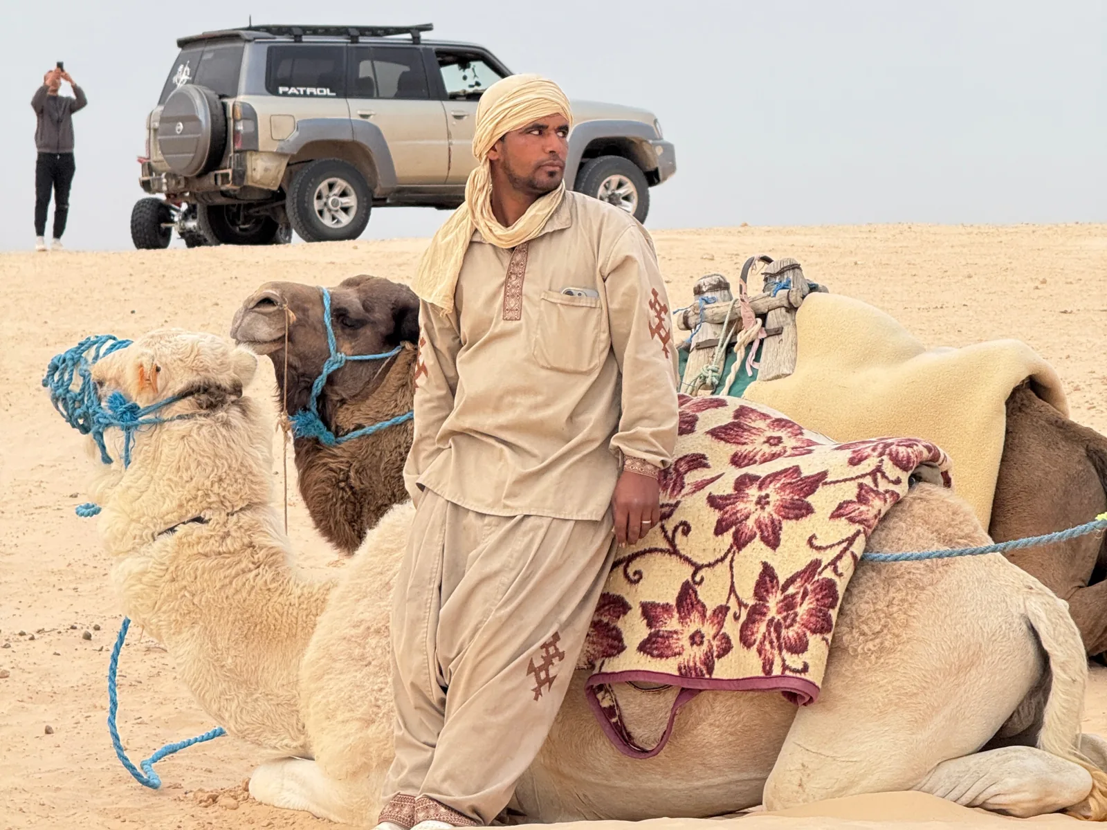 Camel caravan crossing the dunes near Douz in the Tunisian Sahara