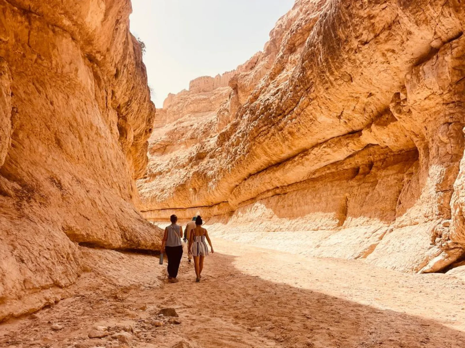 Planning a budget-friendly desert trip in Tunisia